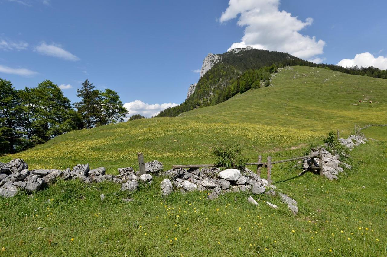 Ritzau Alm Hotell Ebbs Exteriör bild