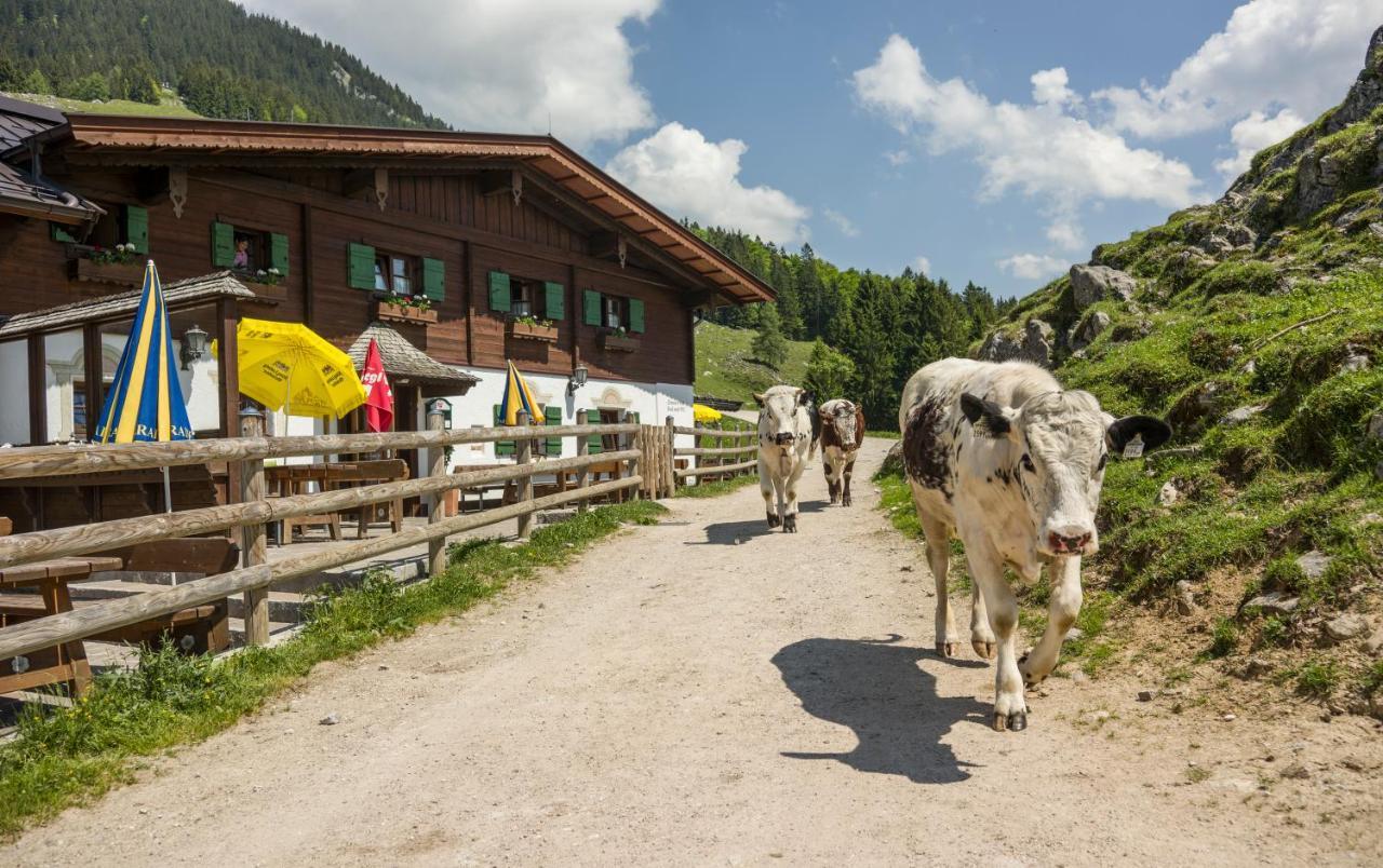 Ritzau Alm Hotell Ebbs Exteriör bild